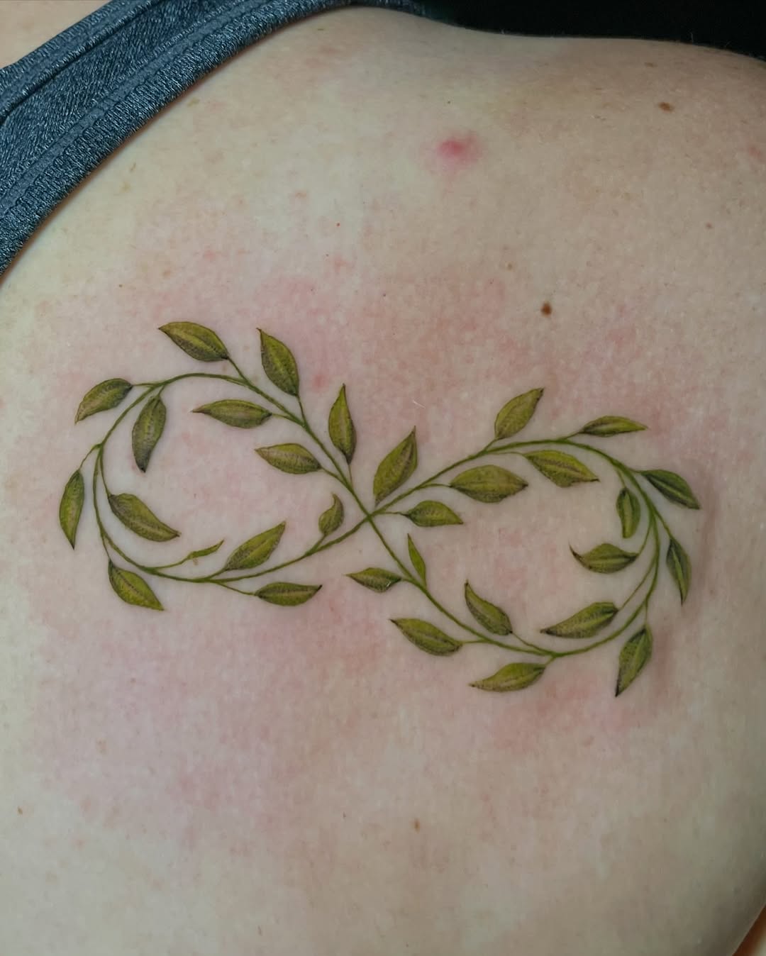 קעקוע עדין של ענפים ועלים בצורת אינסוף, דוגמה לקעקוע עדין שצריך טיפול נקי בלי חיכוך מיותר